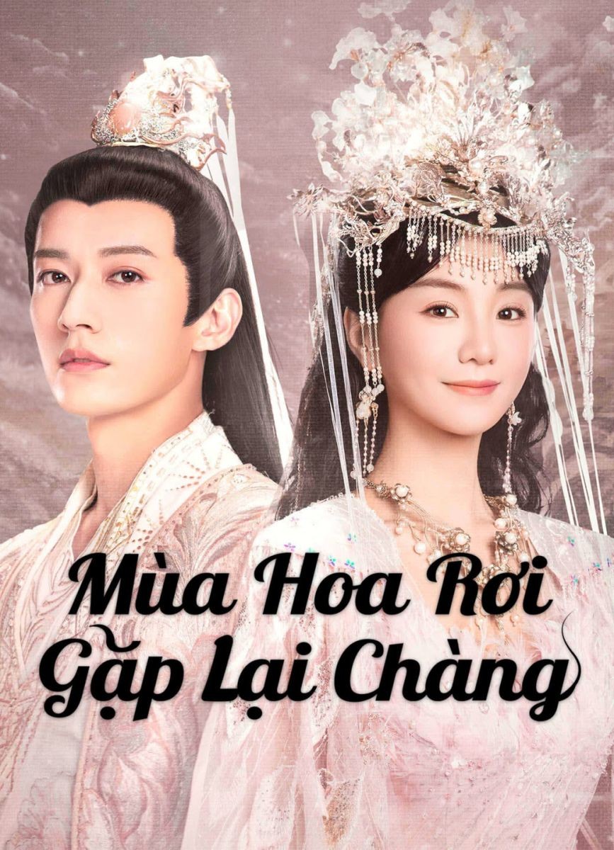 Xem phim Mùa Hoa Rơi Gặp Lại Chàng
